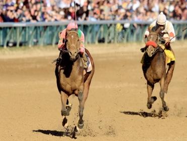 https://betting.betfair.com/horse-racing/Dirt%20finish.jpg